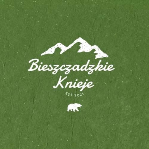 Апартаменты Bieszczadzkie Knieje P2 Устшики-Дольне Экстерьер фото